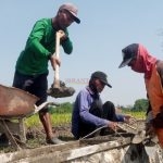 IMG_20230711_105540_(700_x_400_piksel)