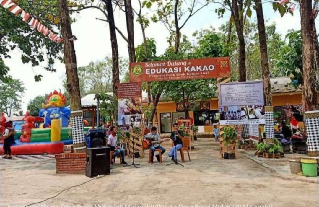 Wisata Desa BMJ Mojopahit Mojokerto yang meng Edukasi Kakao dengan produk Cokelat Mojopahit