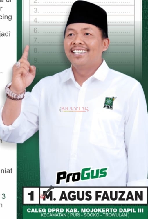 M. Agus Fauzan, Caleg PKB Dapil 3, Puri, Sooko - Trowulan Nomor Urut 1 Yang Bercita cita Agar Semua Pelaku UMKM Hidupnya Sejahtera