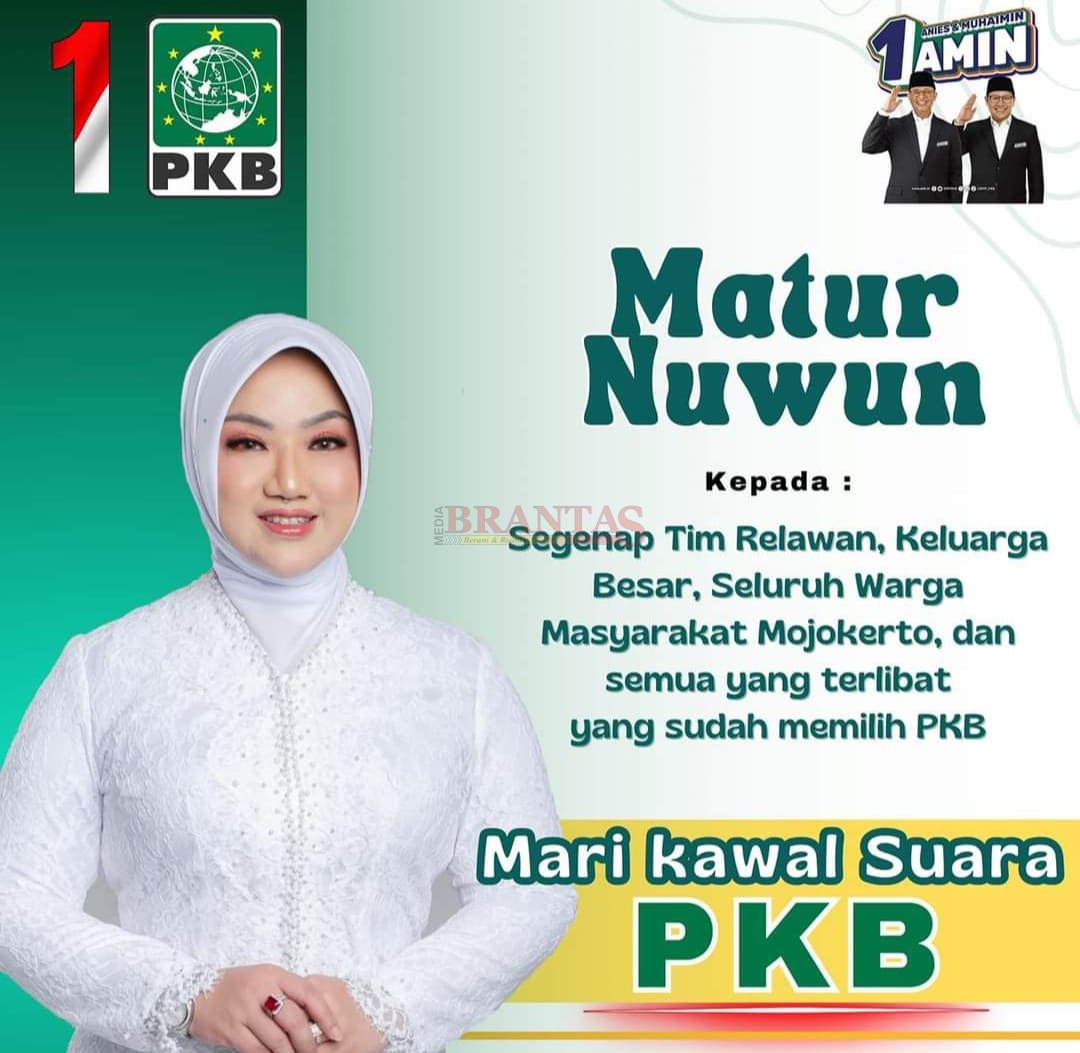 Ketua DPC PKB Kabupaten Mojokerto Hj Ayni Zuroh SE MM, Caleg PKB Dapil 5