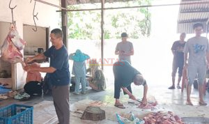 qurban