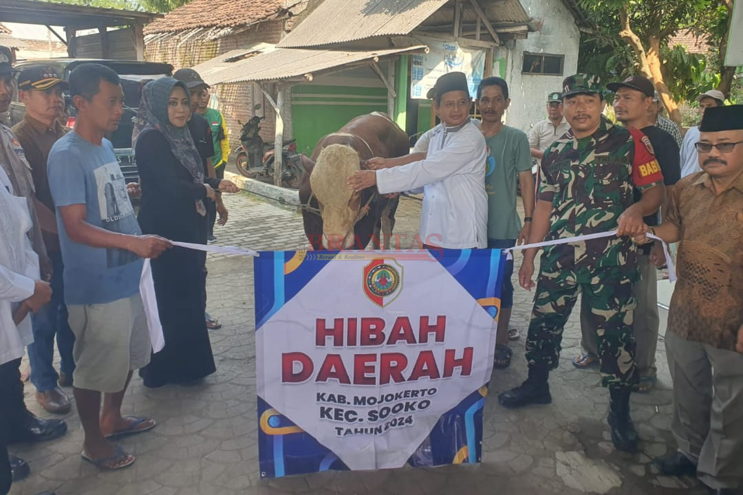 Bupati Ikfina Didampingi Camat Sooko Masluchman dan Kades Blimbingsari Patuh Wahyudi Menyerahkan Hewan Qurban kepada Takmir Masjid Raudlatul Mutaqin