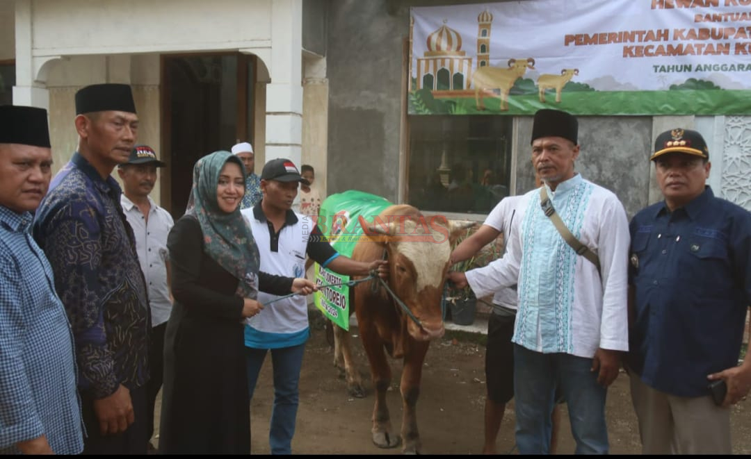 Bupati Ikfina Didampingi Sekda Teguh dan Camat Kutorejo Nuriyadi saat menyerahkan Hewan Qurban kepada Takmir Masjid Darussalam Sembaringin