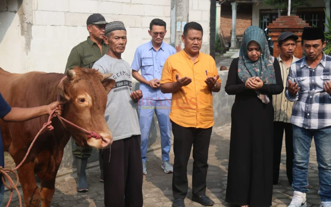 Bupati Ikfina Didampingi Camat Pacet Aprianto dan Kades Kuripan sari saat menyerahkan Hewan Qurban kepada Takmir Masjid Baitul Muslimin