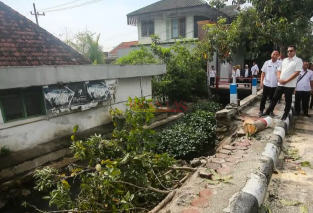 Sekda minta warga Kota Mojokerto waspada pohon tumbang