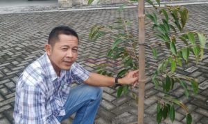 Anggota DPRD Kabupaten Mojokerto dari Fraksi PKS Arif Afifuddin SE memegang pohon Durian yang ditanamnya di Halaman Parkir Gedung Dewan