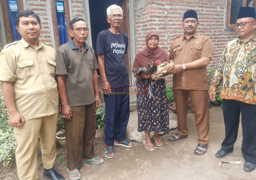 Kepala Desa Lebaksono KH. Afan Faizin, M.Pd, Didampingi LPM dan Perangkatnya saat memberikan Sepasang ayam Jawa kepada warganya Ibu Rodiah dan Bambang Iswanto warga Dusun Adisono RT 04 RW 01