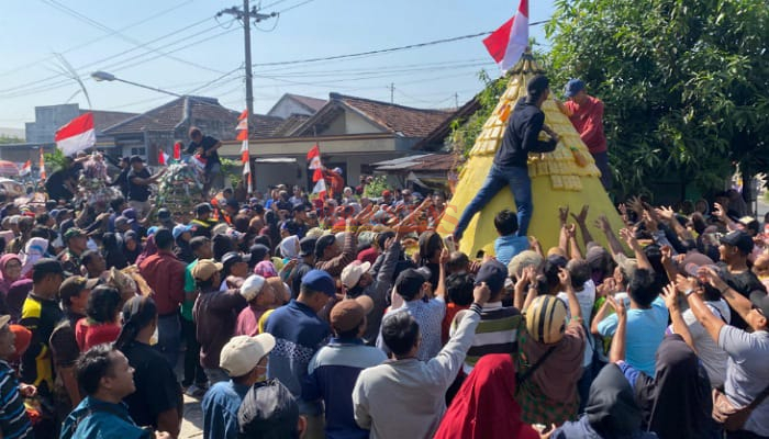 Desa Toyoresmi