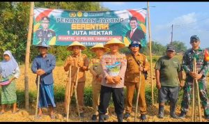 Kecamatan Tambelangan