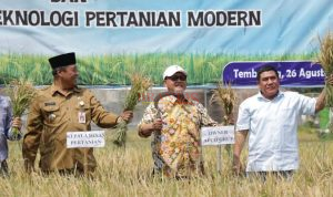Kabupaten Jombang