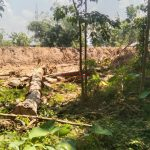 Proyek normalisasi Sungai Ngasinan