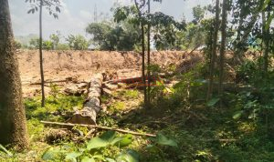 Proyek normalisasi Sungai Ngasinan