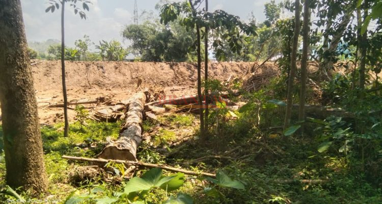 Proyek normalisasi Sungai Ngasinan