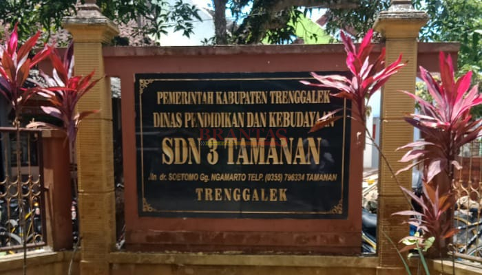 SDN 3 Tamanan
