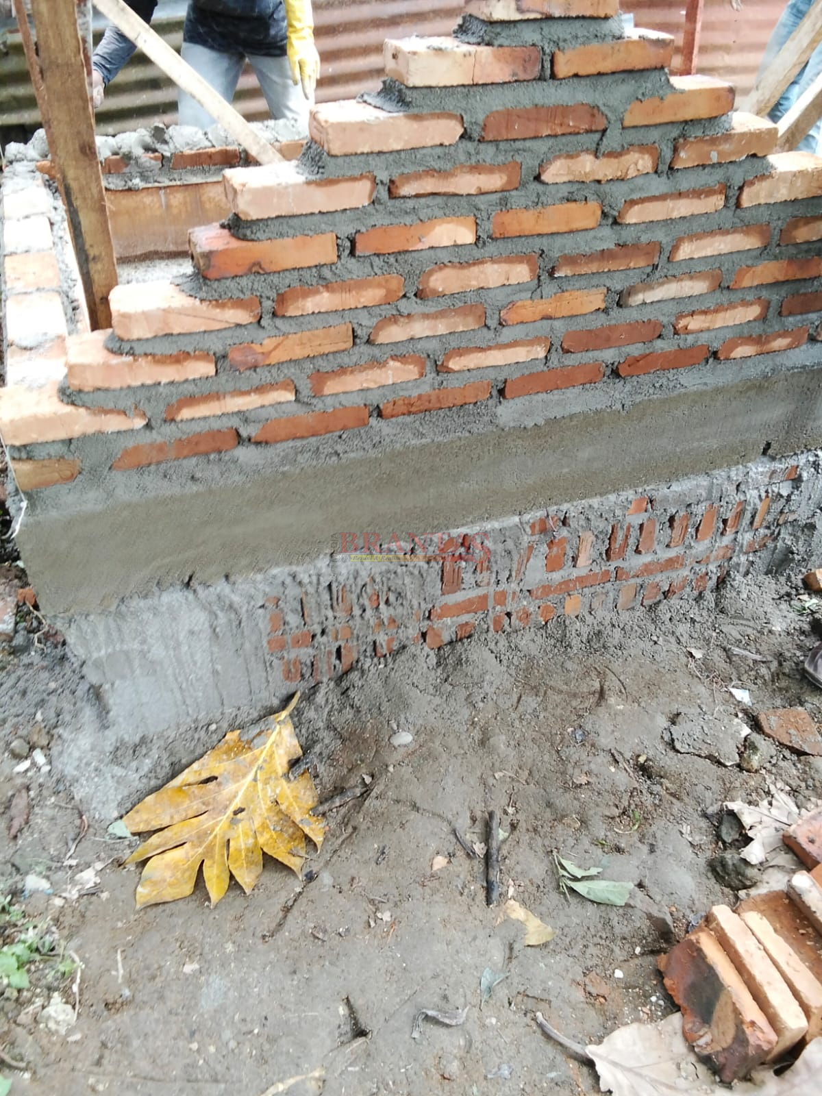 Tangki Septik Individual