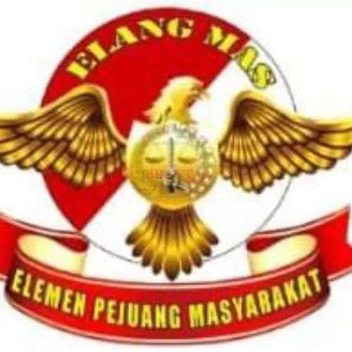 LSM Elang Mas