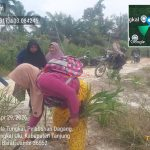 Kabupaten Tanjung Jabung Barat