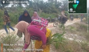 Kabupaten Tanjung Jabung Barat