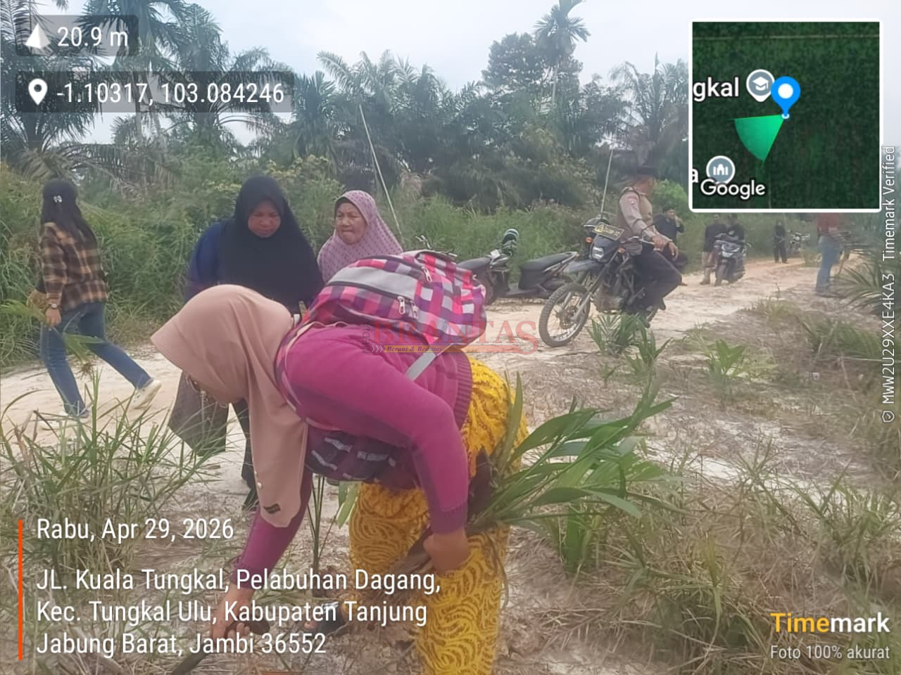 Kabupaten Tanjung Jabung Barat