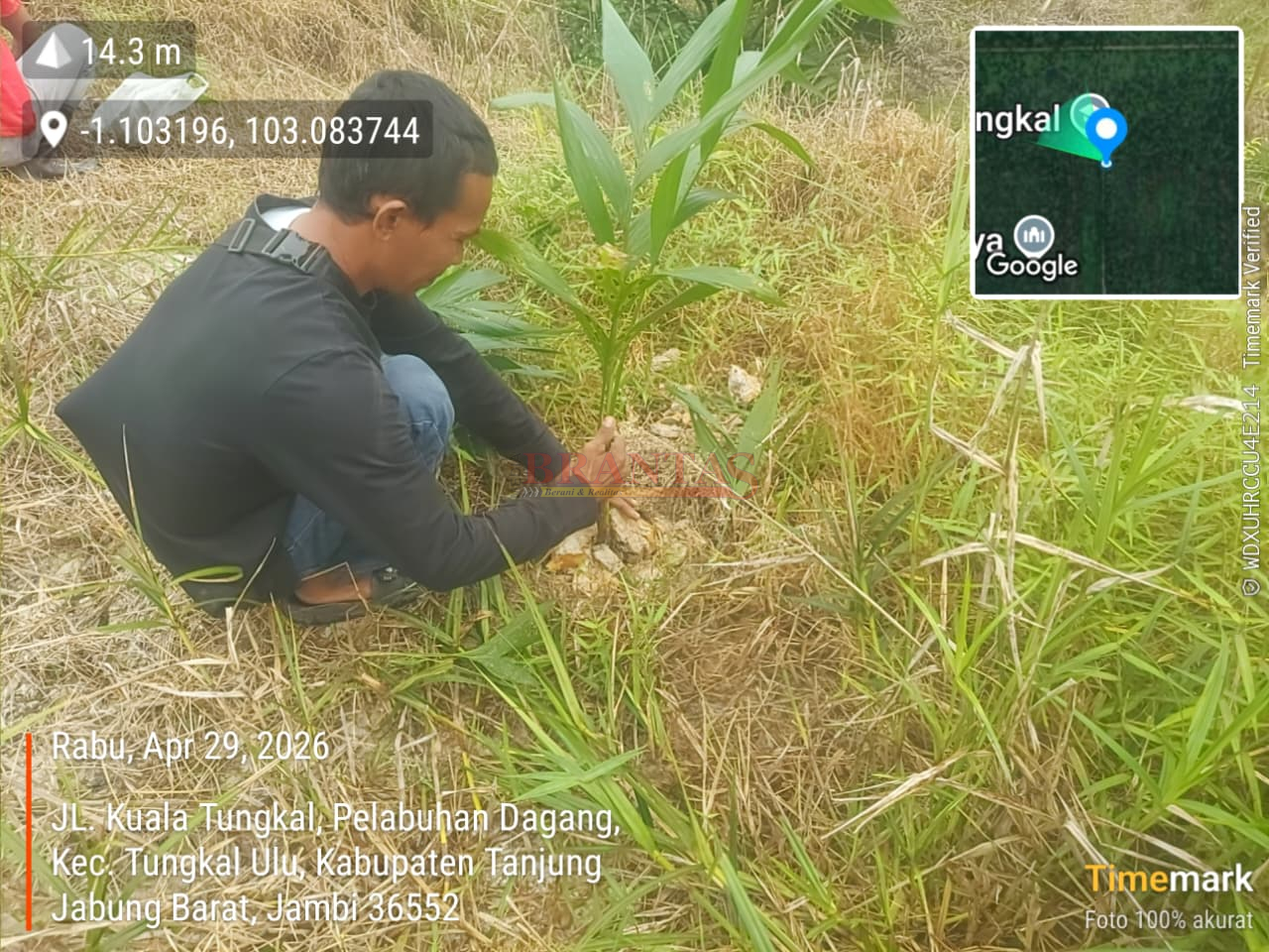 Kabupaten Tanjung Jabung Barat