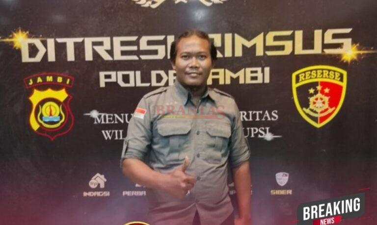 tambang emas ilegal