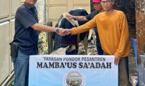 IMG-20260526-WA0039(1) Ketua DPC PDI -Perjuangan Kabupaten Mojokerto Ida Bagus Nugroho SH, didampingi Wakil Ketua DPRD Kabupaten Mojokerto H. Hartono, SH saat menyerahkan hewan qurban Sapi ke Pondok Pesantren Mamba'us Sa'adah Mojosari