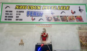 MUARO JAMBI - Yuliati Kembangkan Usaha Kuliner Nasi Uduk dan Pecal Lele di Muaro Jambi Yuliati
