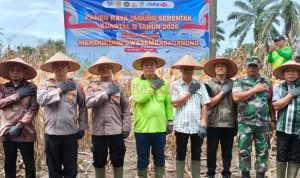 SIMALUNGUN - Polres Simalungun Sukseskan Panen Raya Jagung Serentak Kuartal II 2026 di Nagori Muara Mulia 1 Polres Simalungun