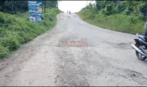 TEBO - Pemkab Tebo Gandeng PT SMI Bangun Jalan Cor Beton 1 Kabupaten Tebo