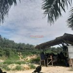 penambangan batu padas