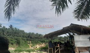 penambangan batu padas