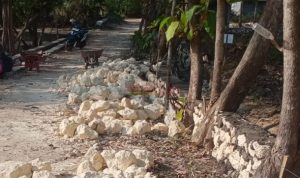 Proyek HIPPA P3-TGAI di Dusun Dupok Diduga Dikerjakan Pihak Ketiga 1 P3-TGAI